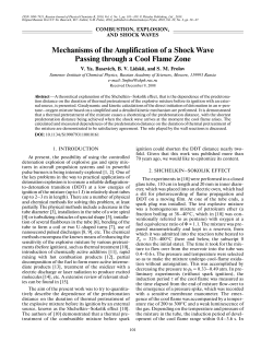 Mechanisms of the Amplification of a Shock Wave Passing through a