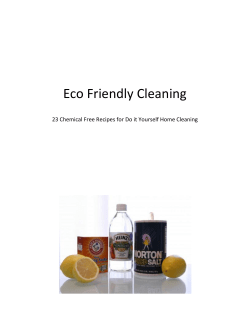 Eco Friendly Cleaning Guide