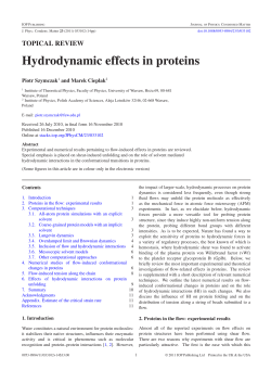 Hydrodynamic effects in proteins