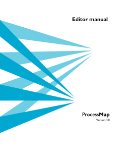ProcessMap Editor manual