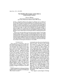 The Reptilian Baroreceptor and Its Role in Cardiovascular Control1