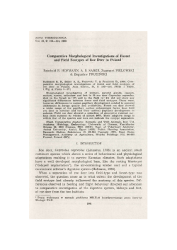 Comparative Morphological Investigations of Forest and Field