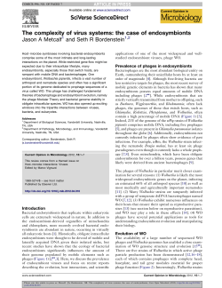 The complexity of virus systems: the case of endosymbionts