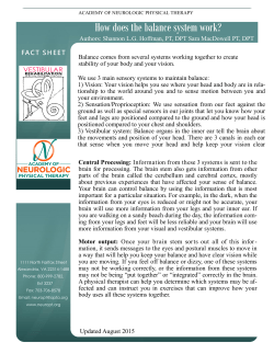 How does the balance system work?