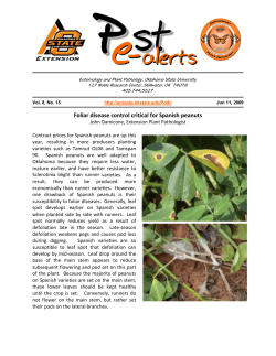 Foliar disease control critical for Spanish peanuts