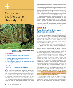 Carbon and the Molecular Diversity of Life