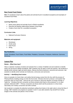 New Forest Food Chains Lesson Plan