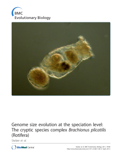 Genome size evolution at the speciation level: The cryptic species