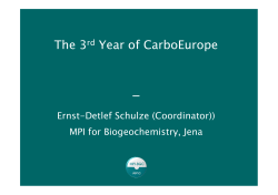 Co-ordinator&acute;s report