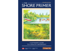 The shore primer