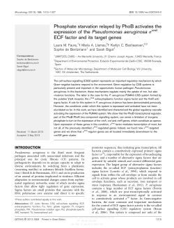 Phosphate starvation relayed by PhoB activates the
