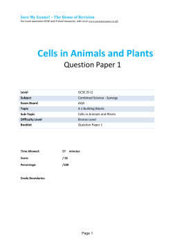 Cells in Animals and Plants