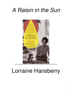 A Raisin in the Sun Study Booklet