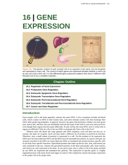 16 | gene expression - Open Textbooks Project