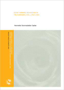 SCENT MARKING BEHAVIOUR IN THE EURASIAN