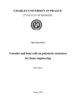 CHARLES UNIVERSITY IN PRAGUE Vascular and bone cells on