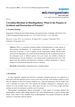 Circadian Rhythms in Dinoflagellates: What Is the Purpose of