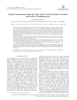 Oxygen Concentrations Inside the Traps of the