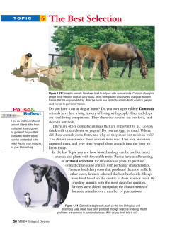 Unit 1 Topic 6 - Holy Cross Collegiate