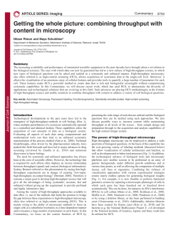 Getting the whole picture: combining throughput with content in
