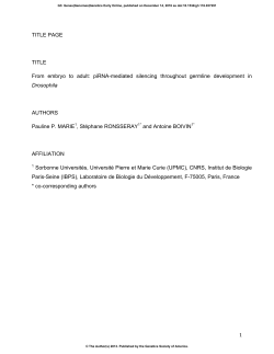 piRNA-Mediated Silencing Throughout Germline Development in