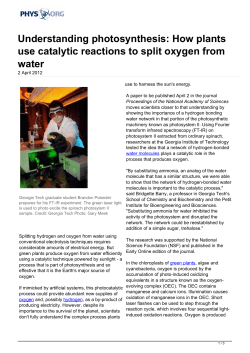 Understanding photosynthesis: How plants use catalytic