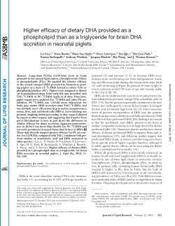 Phospholipids - DHA