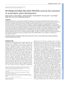 RETINOBLASTOMA-RELATED PROTEIN controls