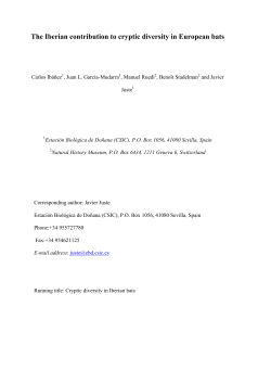 The Iberian contribution to cryptic diversity in European bats