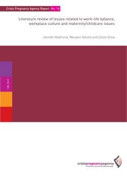 Literature review of issues related to work