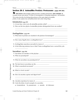 BIO_ALL IN1_StGd_tese_ch20