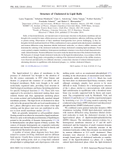 Structure of Cholesterol in Lipid Rafts
