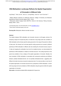 DNA Methylation Landscape Reflects the Spatial Organization of