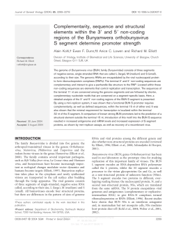Complementarity, sequence and structural elements within the 39