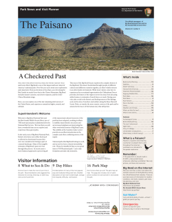 The Paisano