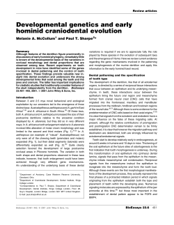 Developmental genetics and early hominid craniodental evolution
