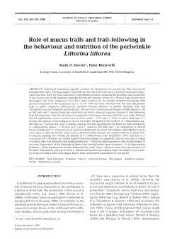 Full text in pdf format