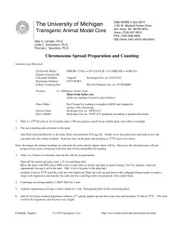 Chromosome Counting Protocol