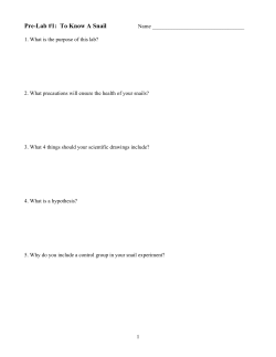 Pre-Lab #1: To Know A Snail