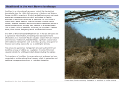 Heathland - Kent Downs AONB