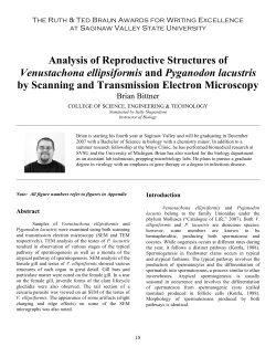 Analysis of Reproductive Structures of Venustaconcha