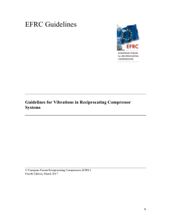 EFRC Guidelines for Vibrations in Recip Systems