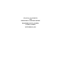 independent auditors` report