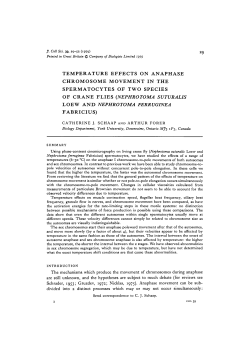 temperature effects on anaphase chromosome movement in the