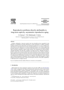 here - Rhino Resource Center