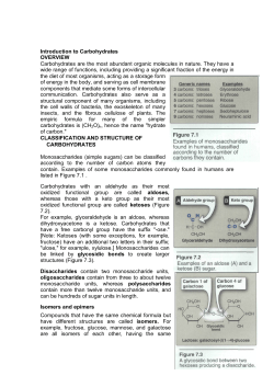 Introduction to Carbohydrates OVERVIEW Carbohydrates are the