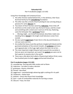 Fahrenheit 451 Part 4 vocabulary