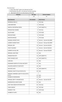 Loan Level File Layout