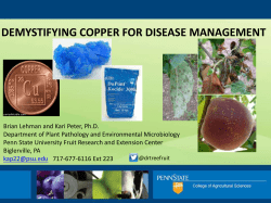 Demystifying Copper For Disease Management