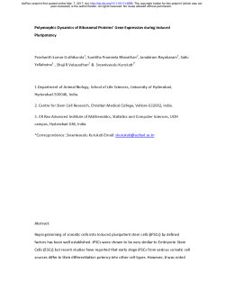 Polymorphic Dynamics of Ribosomal Proteins` Gene